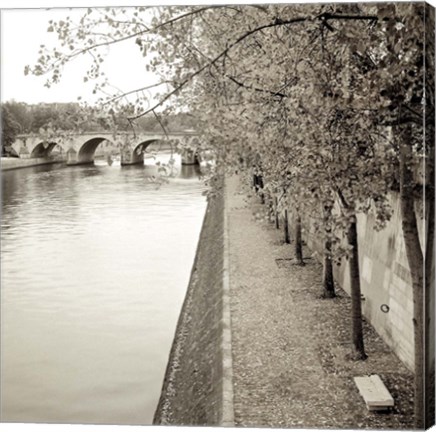 Framed Promenade Seine II Print