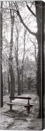 Framed Jardin du Luxembourg Banc Print