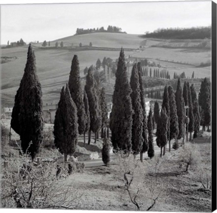 Framed Tuscany IV Print