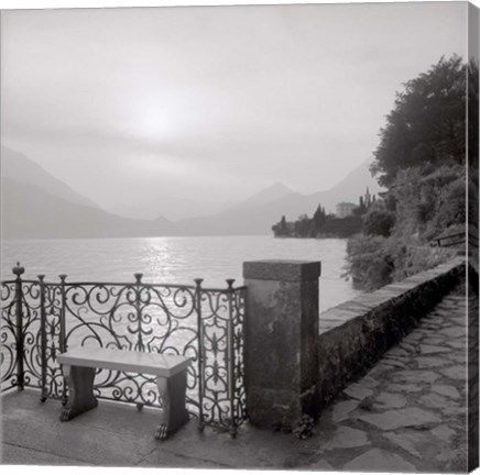 Framed Lake Vista I Print
