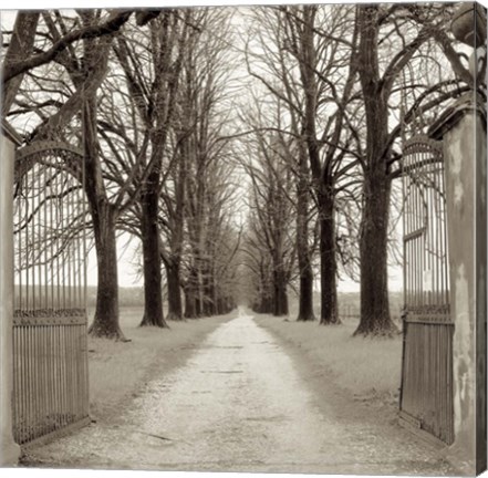 Framed Veneto Giardini I Print