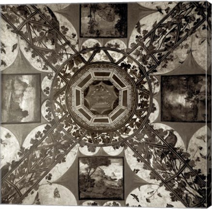 Framed Giardini Italiano V Print