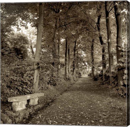 Framed Fiesole Giardini II Print