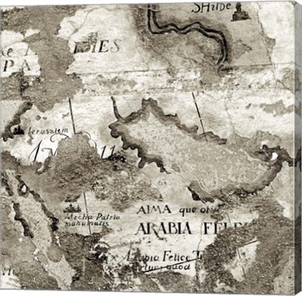 Framed La Mappa II Print