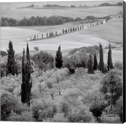 Framed Tuscany VI Print