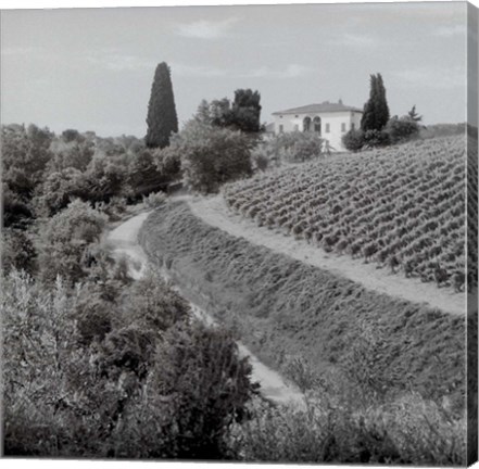 Framed Tuscany V Print