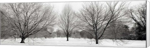Framed Winter Garden I Print