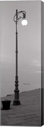 Framed Treiste I Print