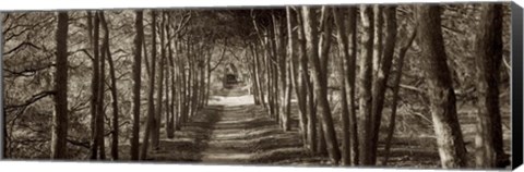 Framed Hampton Gates Promenade II Print