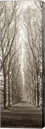 Framed Hampton Gates Promenade Print