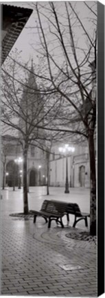 Framed Oviedo Cathedral y Bancs Print