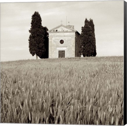 Framed Tuscany IX Print