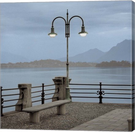 Framed Lake Vista V Print