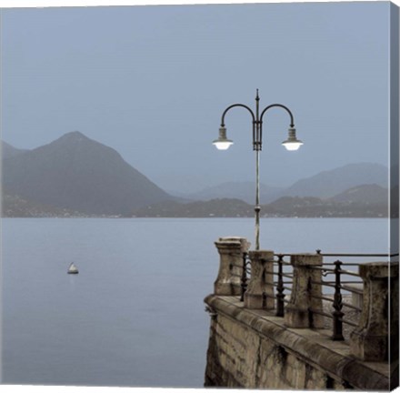 Framed Lake Vista VI Print