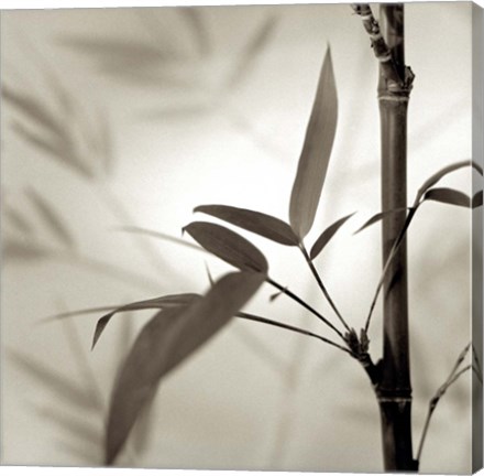 Framed Florison 64 Print