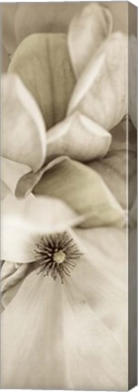 Framed Florison 70 Print