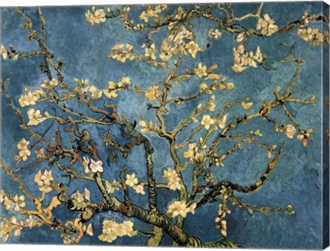 Framed Blossoming Almond Tree, Saint-Remy, c.1890 Print