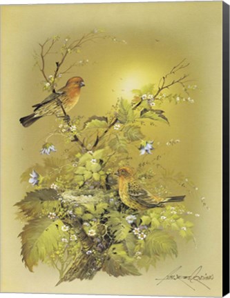 Framed Bird Print