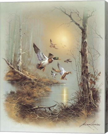 Framed Ducks A Print