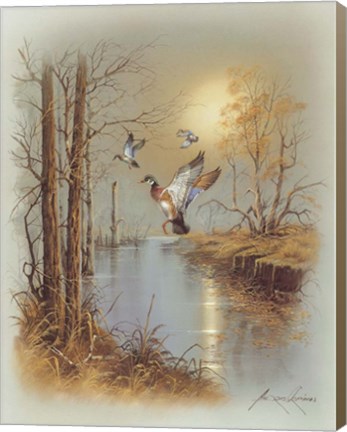 Framed Ducks B Print