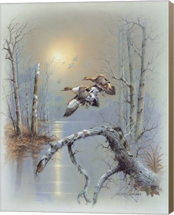 Framed Ducks D Print
