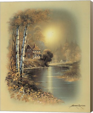 Framed House D Print