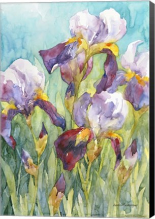 Framed Iris Blue Skies Print