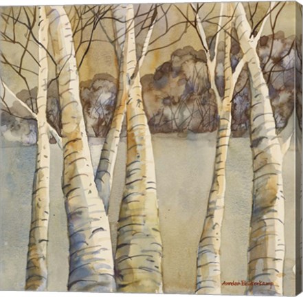 Framed Birch Print