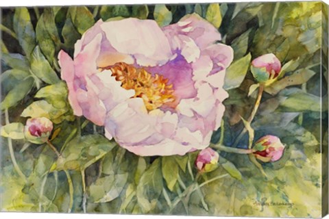 Framed Flowers Print