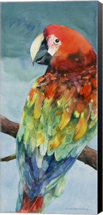 Framed Parrot Print