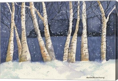 Framed Birch, Snowy Night Print