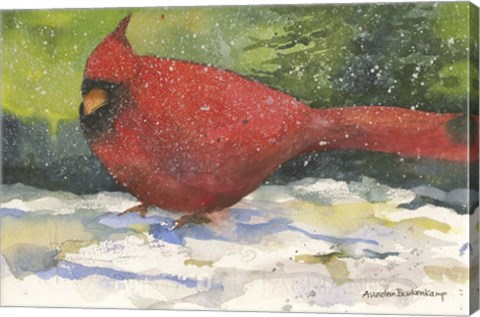 Framed Winter Cardinal Print