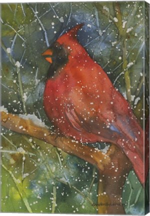 Framed Perched Cardinal Print