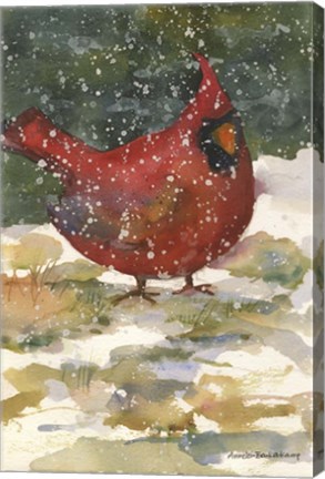 Framed Standing Cardinal Print