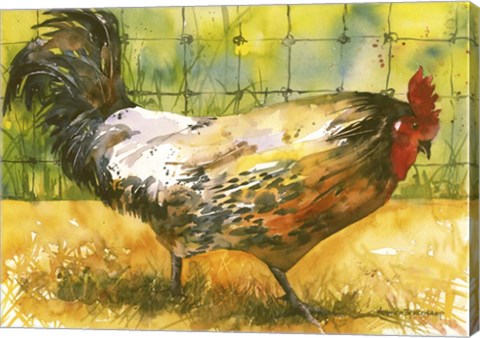 Framed Chicken Fence Print