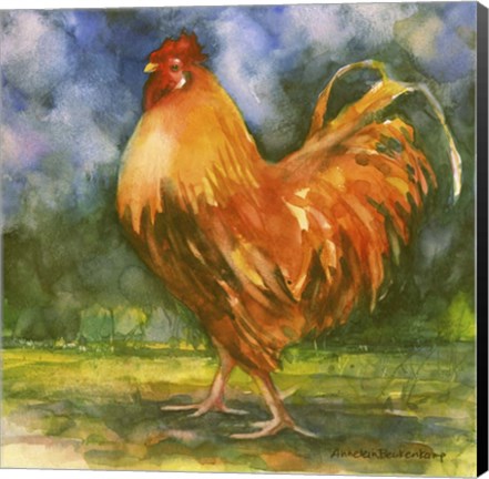 Framed Rooster Field Print