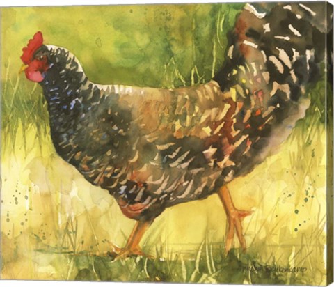 Framed Wyandotte Hen Print