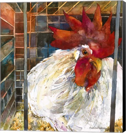 Framed Rooster 2 Print