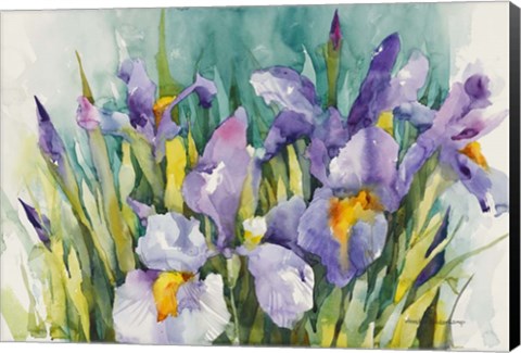 Framed Purple Irises Print