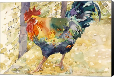 Framed Colorful Rooster Print
