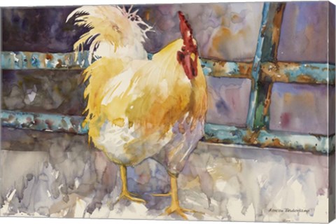 Framed Rooster Fence Print