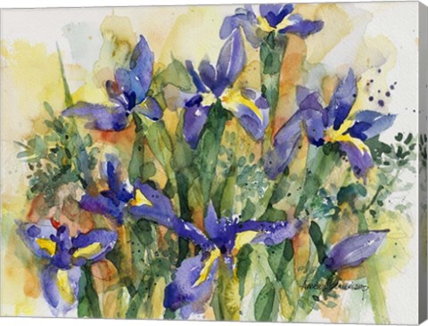 Framed Indelible Irises Print
