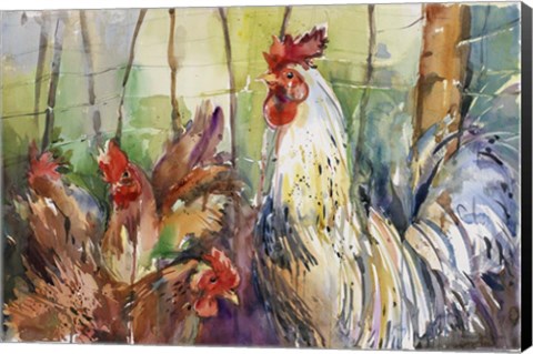 Framed Head Of The Roost Print