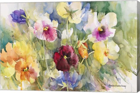 Framed Pansies Posing Print