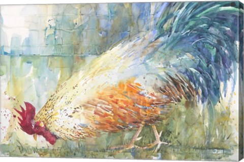 Framed Feathered Forager Print