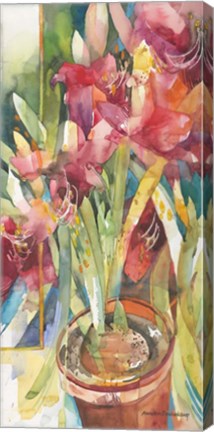 Framed Architectural Amaryllis Print