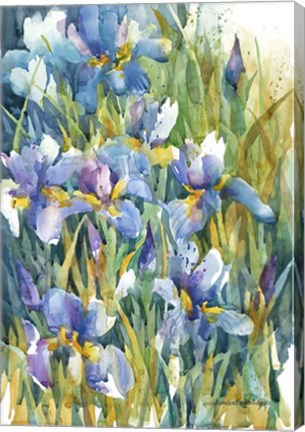 Framed Summer Heralds Print
