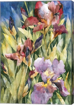 Framed Unfurling Print