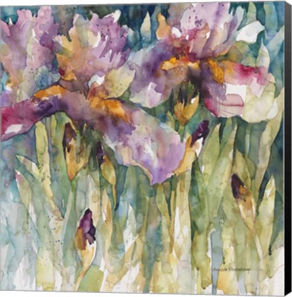 Framed Siberian Iris Print