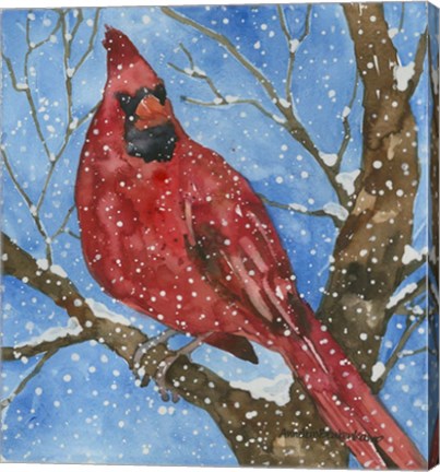 Framed Snowbird Print